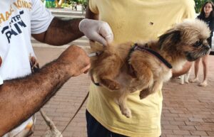 Vacinação em Teresina