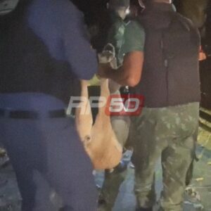 Onça capturada em Teresina