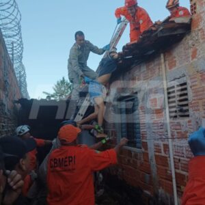 Crime na Macaúba