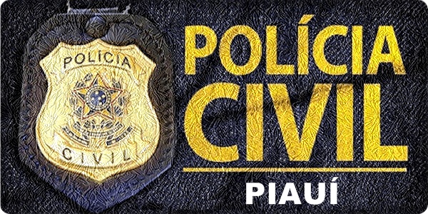 policia-civil.PI