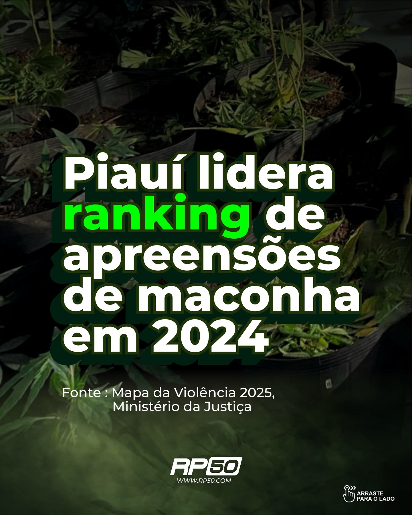 portalrp50_1749919477523