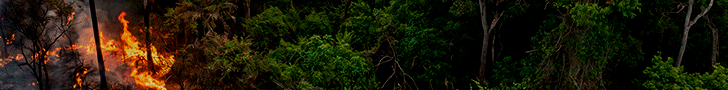 Banner queimadas -Novo-728-x90