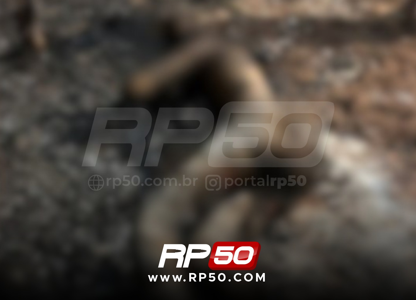 WhatsApp Image 2025-11-12 at 21.53.54 (3)