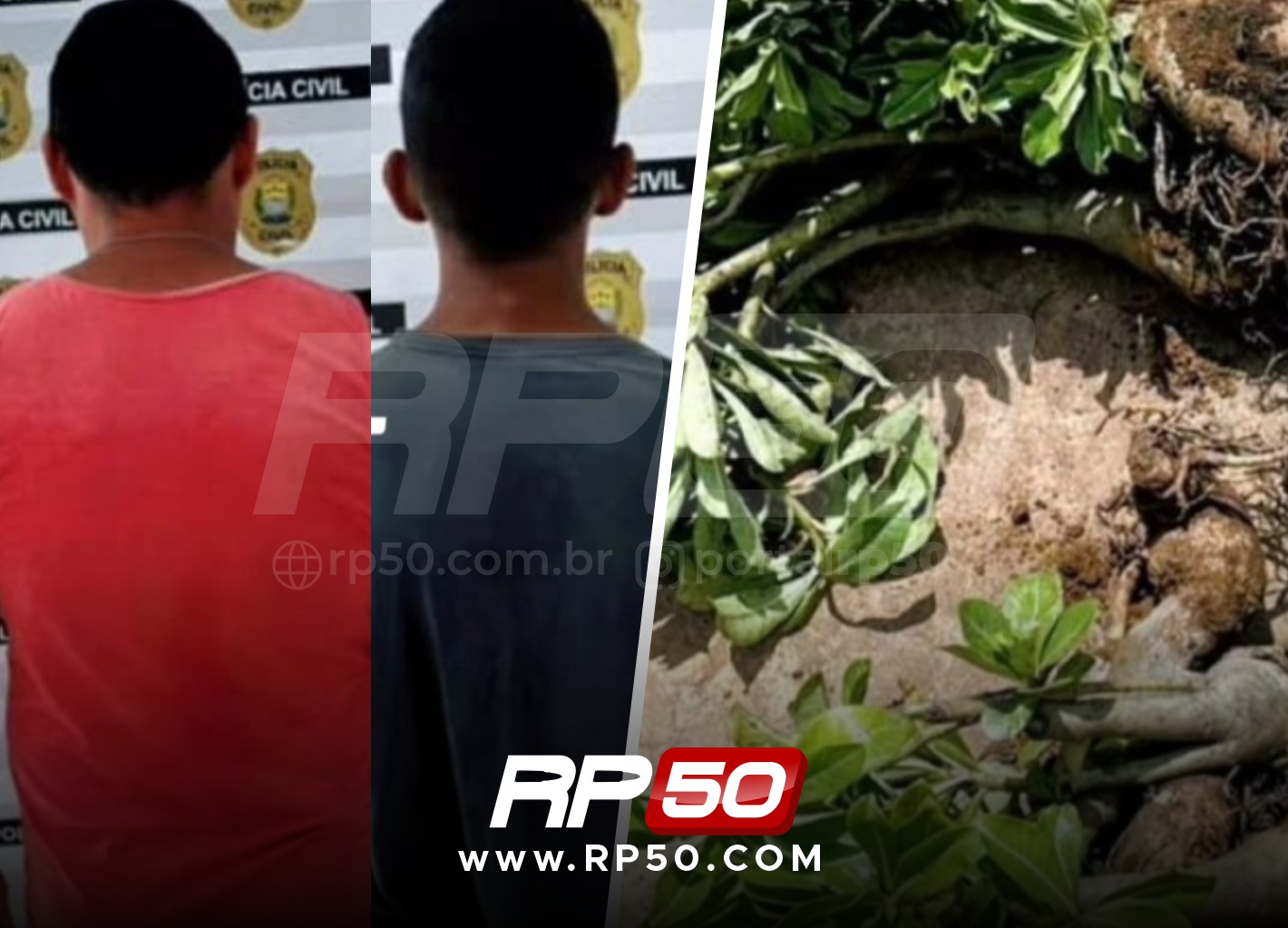 WhatsApp Image 2025-11-24 at 08.42.45 (2)