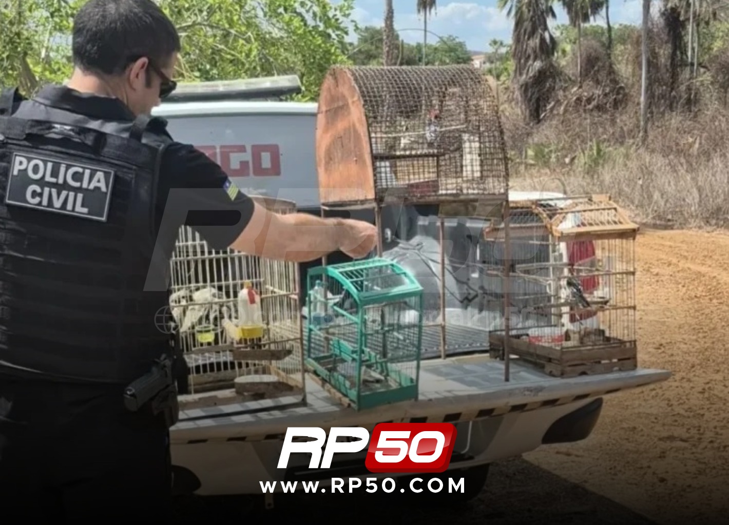 WhatsApp Image 2025-11-29 at 16.31.37 (2)