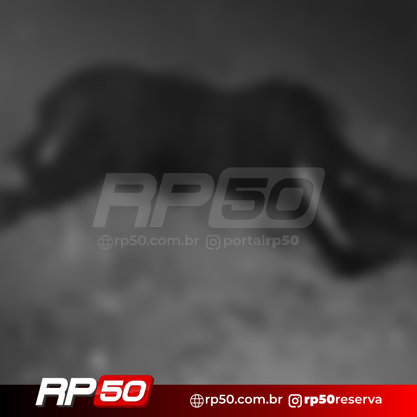 WhatsApp Image 2025-12-03 at 18.51.46 (5)