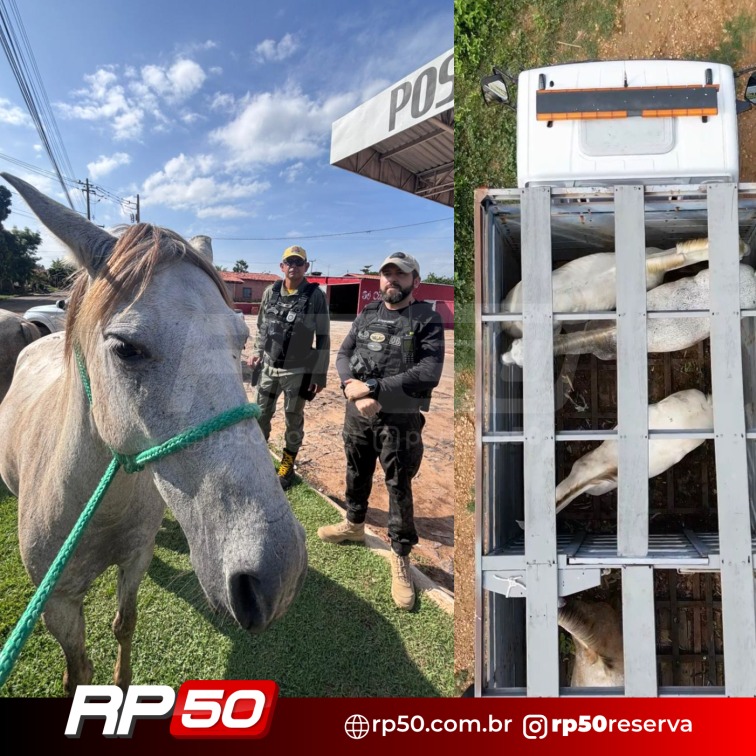 WhatsApp Image 2025-12-09 at 18.57.16