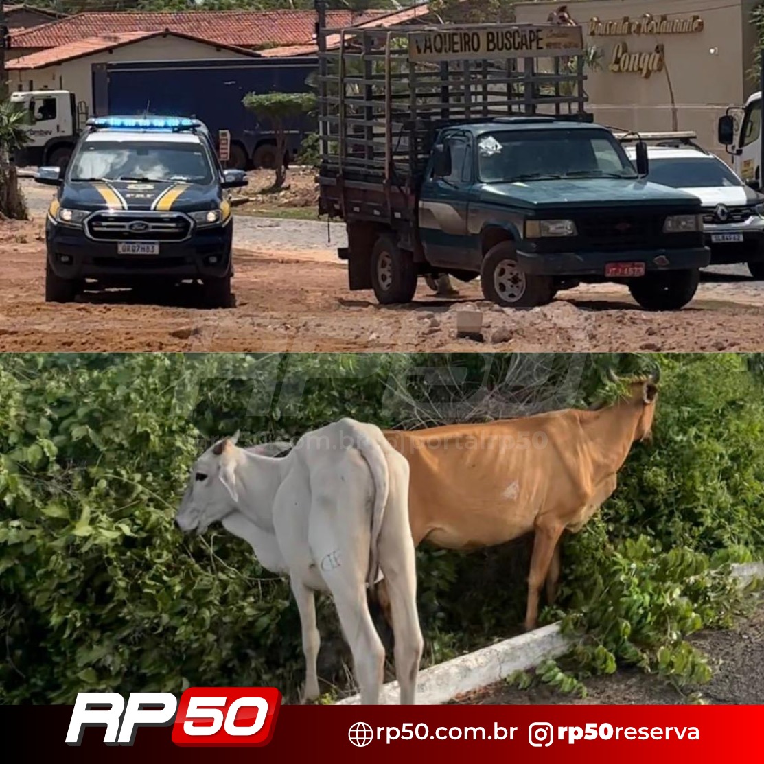 WhatsApp Image 2025-12-11 at 19.41.52 (3)