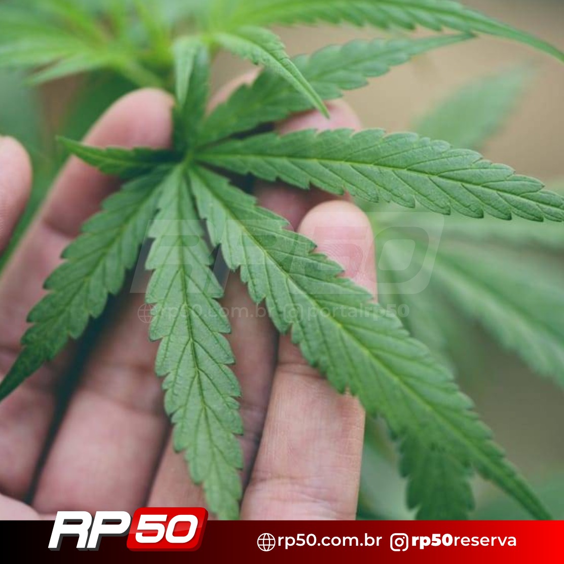 WhatsApp Image 2025-12-16 at 19.15.24 (1)