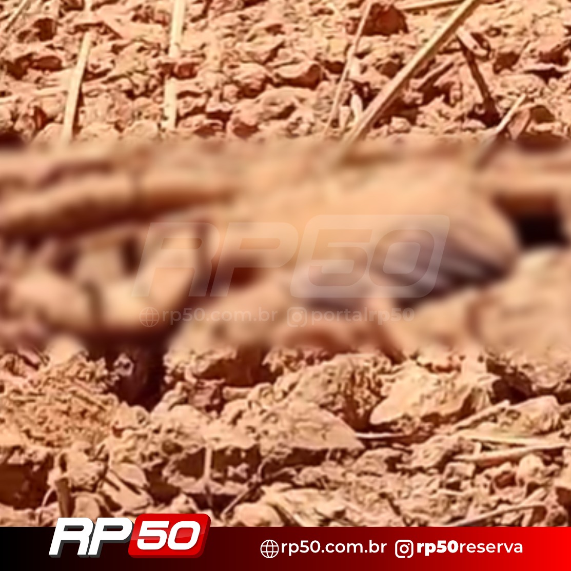 WhatsApp Image 2026-01-10 at 06.36.54 (3)