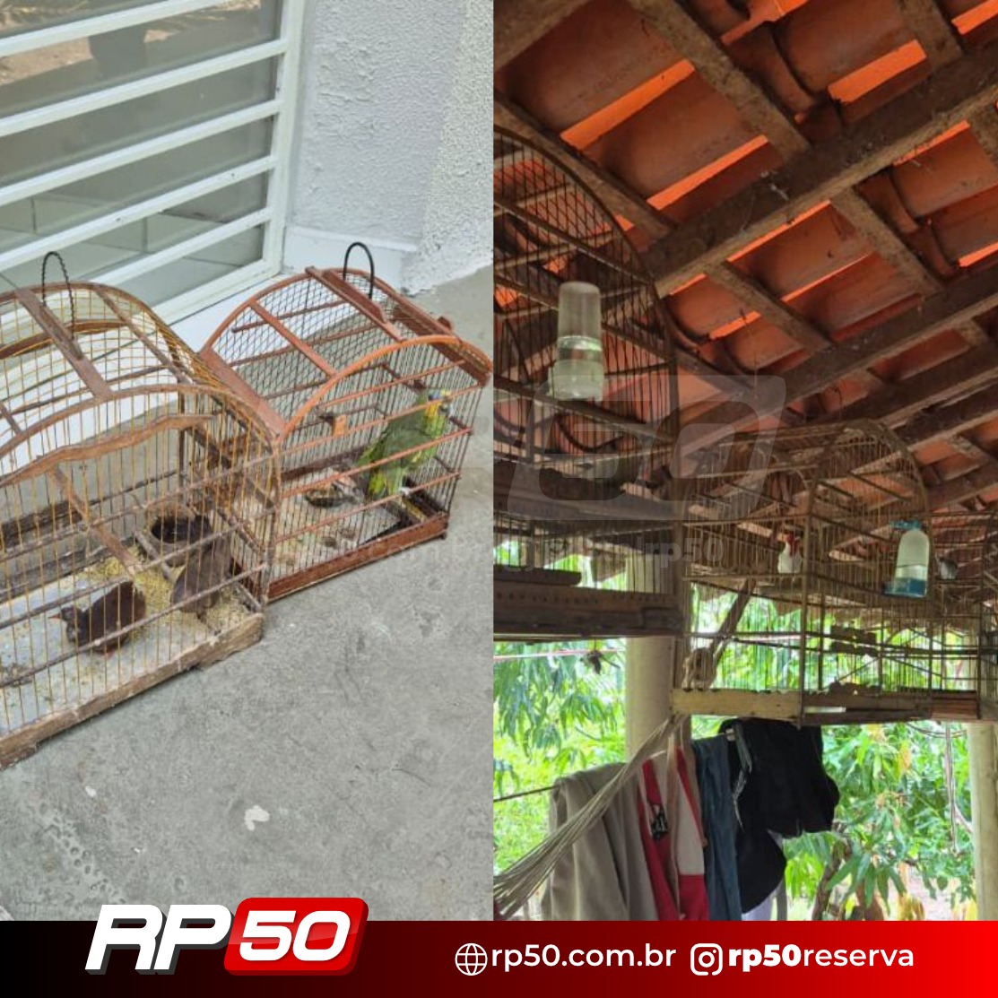 WhatsApp Image 2026-01-17 at 17.32.14 (5)