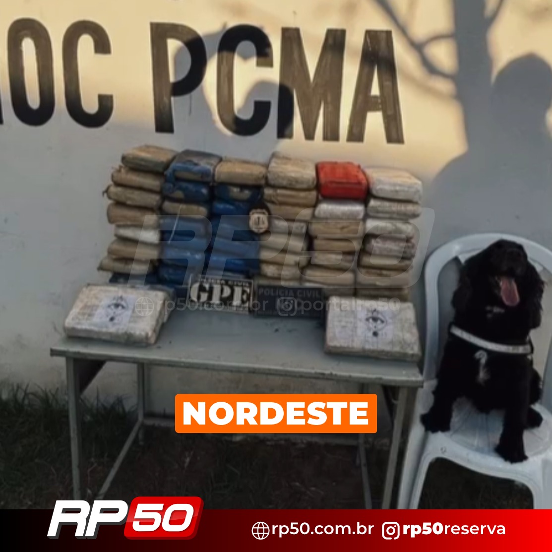 WhatsApp Image 2026-01-21 at 11.52.05