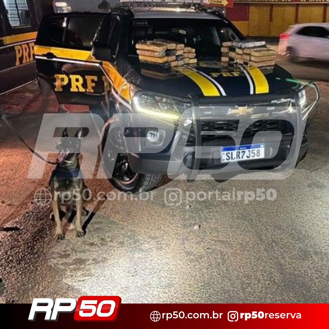 WhatsApp Image 2026-02-03 at 10.58.12 (1)