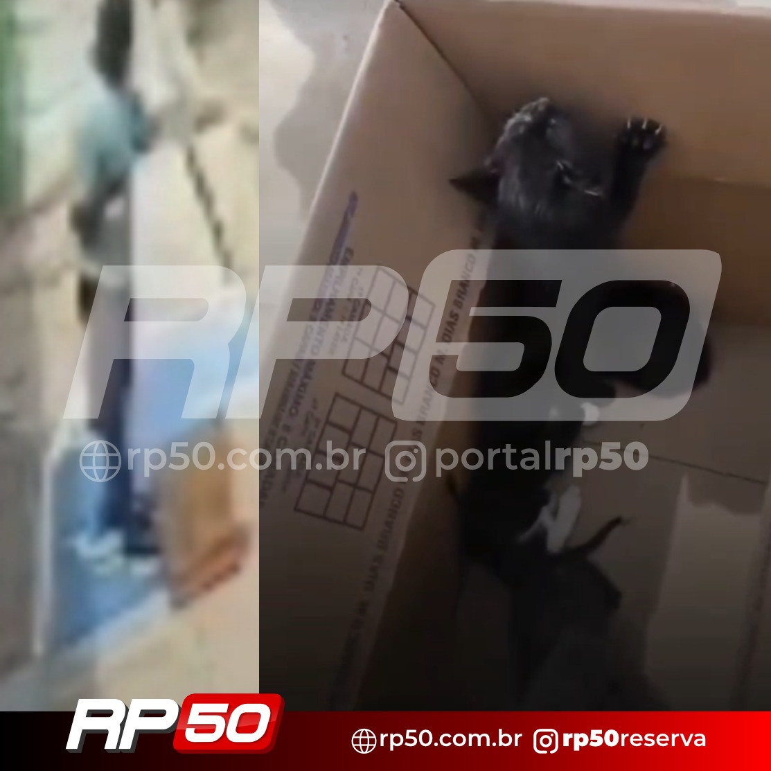 WhatsApp Image 2026-02-03 at 20.54.36 (1)