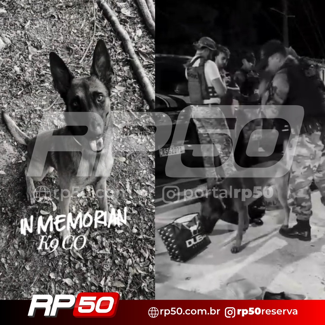 WhatsApp Image 2026-02-19 at 21.56.49