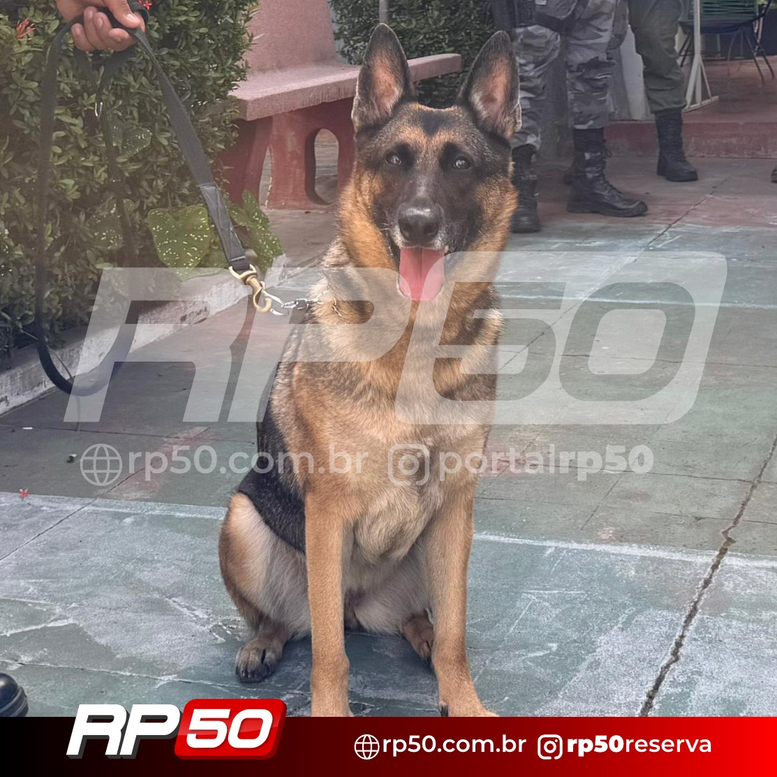 WhatsApp Image 2026-02-25 at 17.27.34 (7)