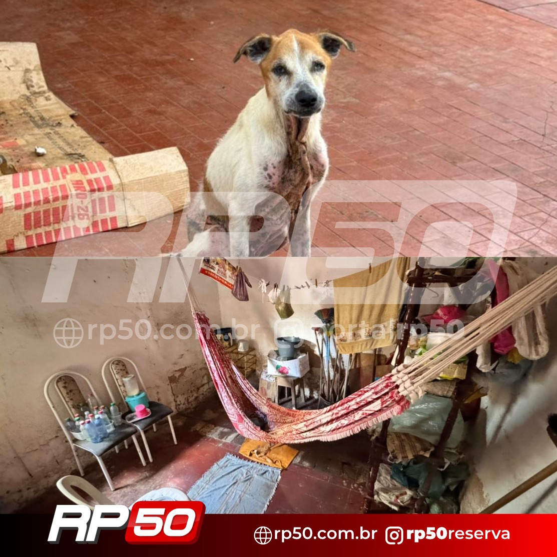 WhatsApp Image 2026-02-27 at 10.55.08 (1)