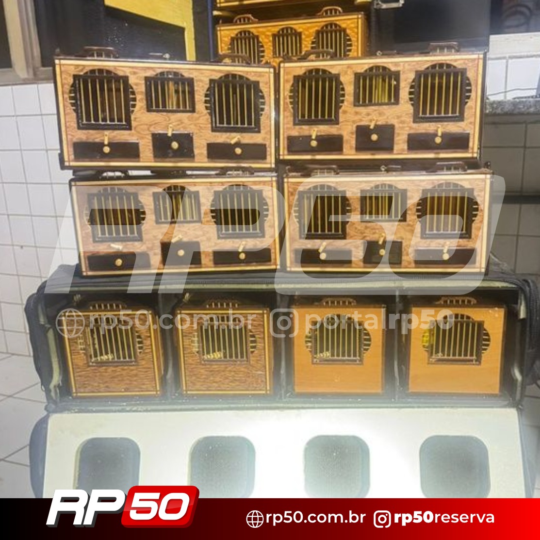 WhatsApp Image 2026-03-02 at 21.19.38 (4)