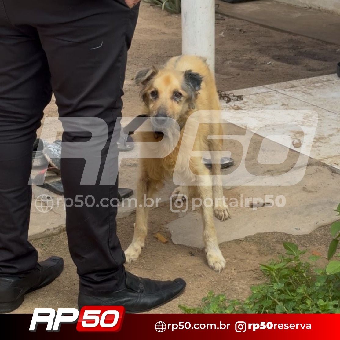 WhatsApp Image 2026-03-12 at 15.10.54