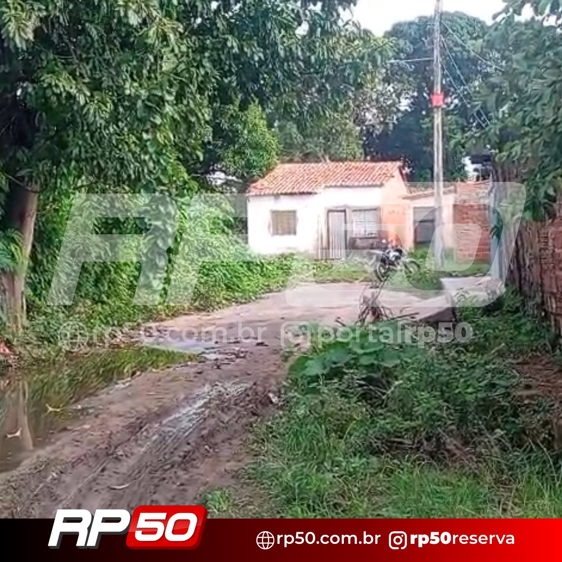 WhatsApp Image 2026-03-16 at 15.18.13 (4)