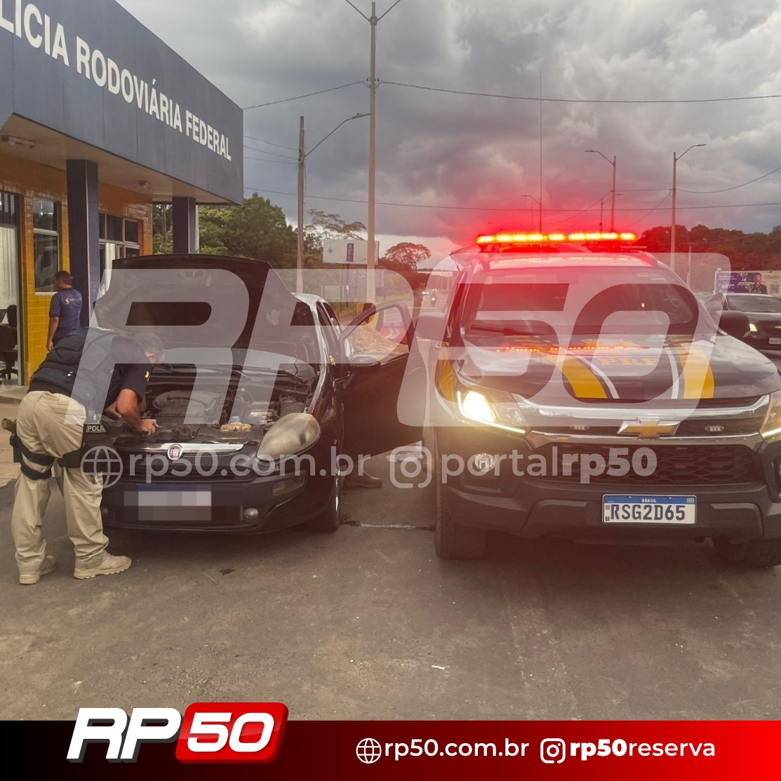 WhatsApp Image 2026-03-25 at 18.56.40 (8)