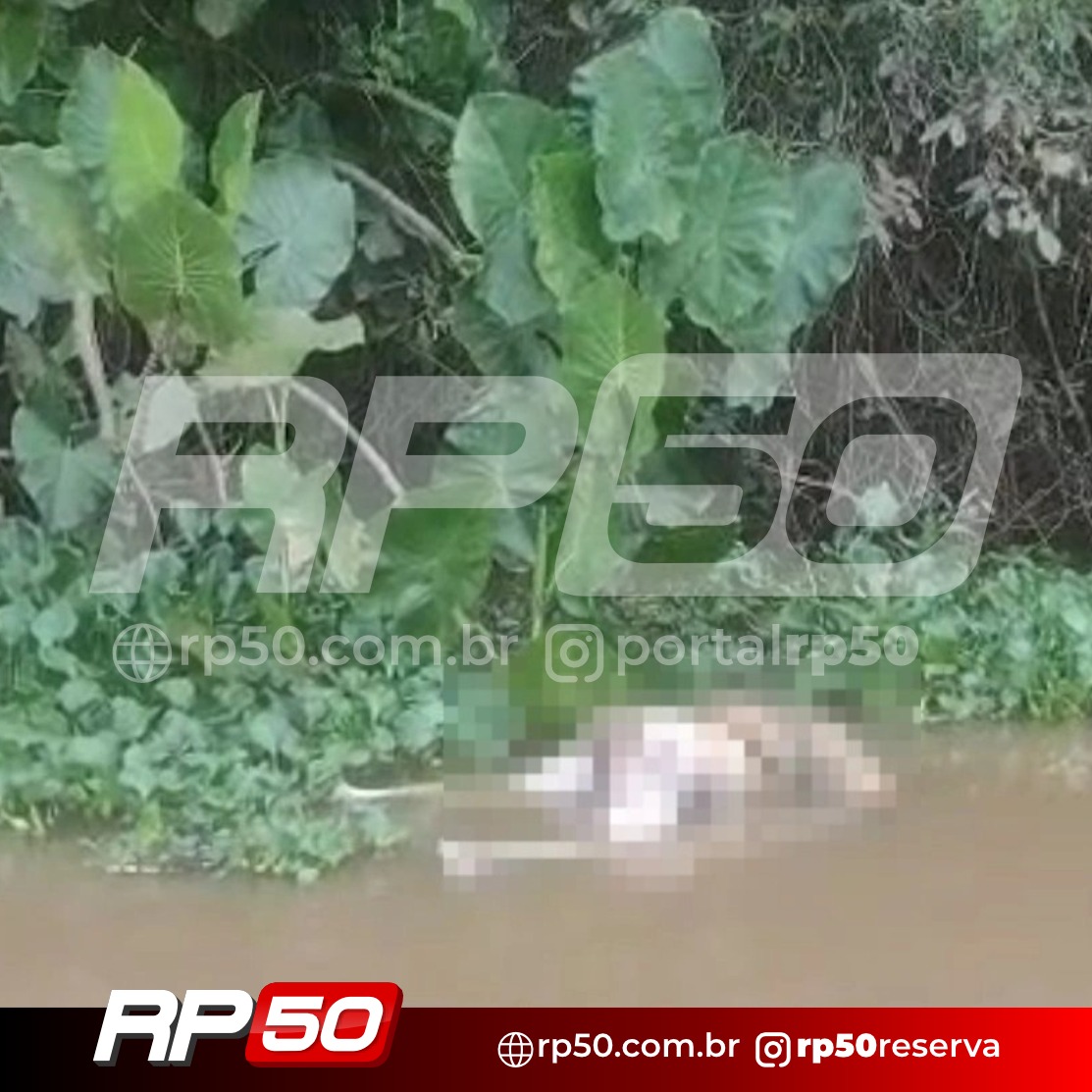 WhatsApp Image 2026-03-29 at 18.21.31 (1)