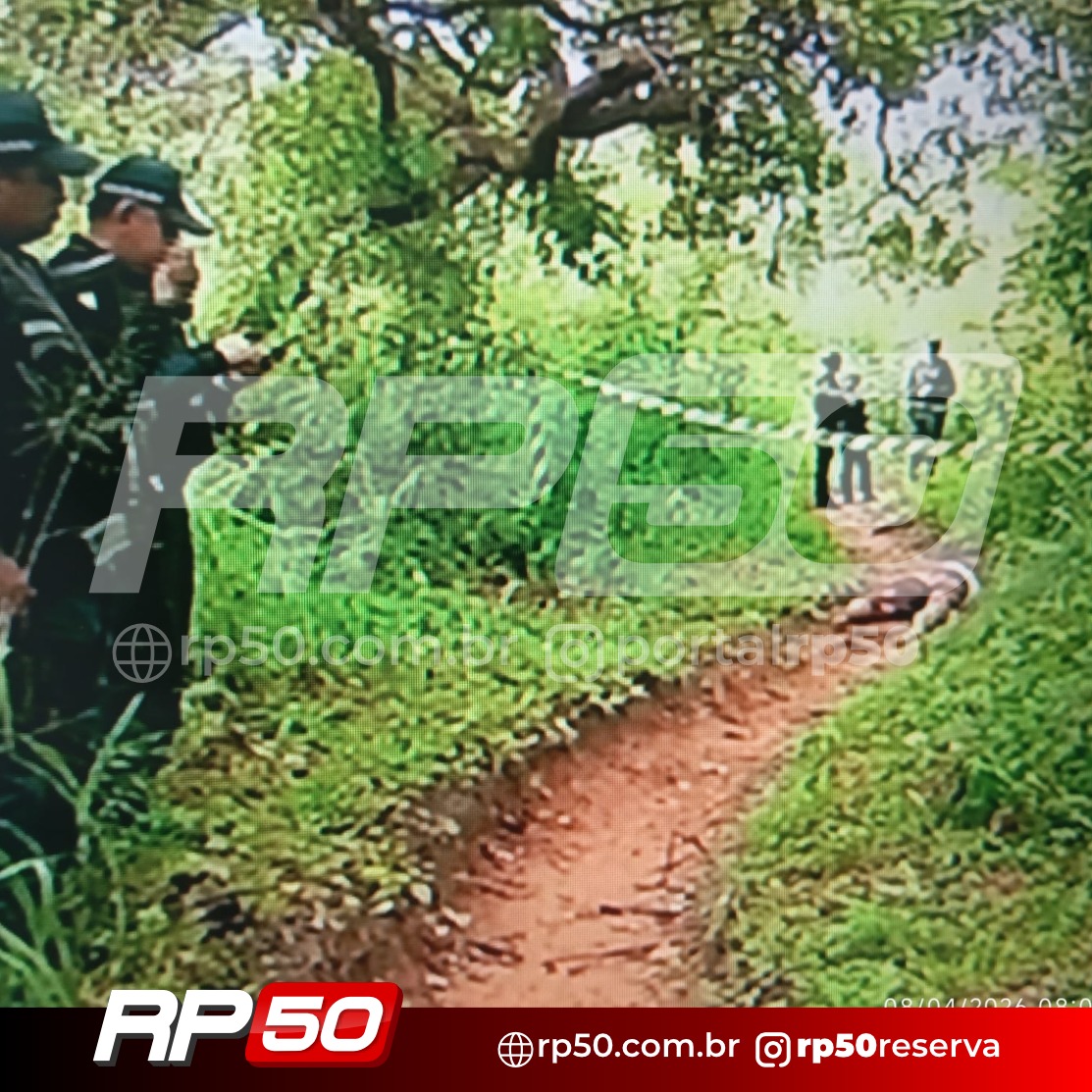 WhatsApp Image 2026-04-08 at 14.34.43 (6)