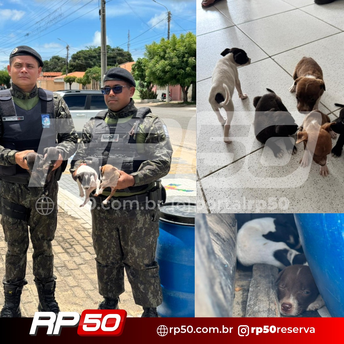 WhatsApp Image 2026-04-10 at 01.22.07 (2)