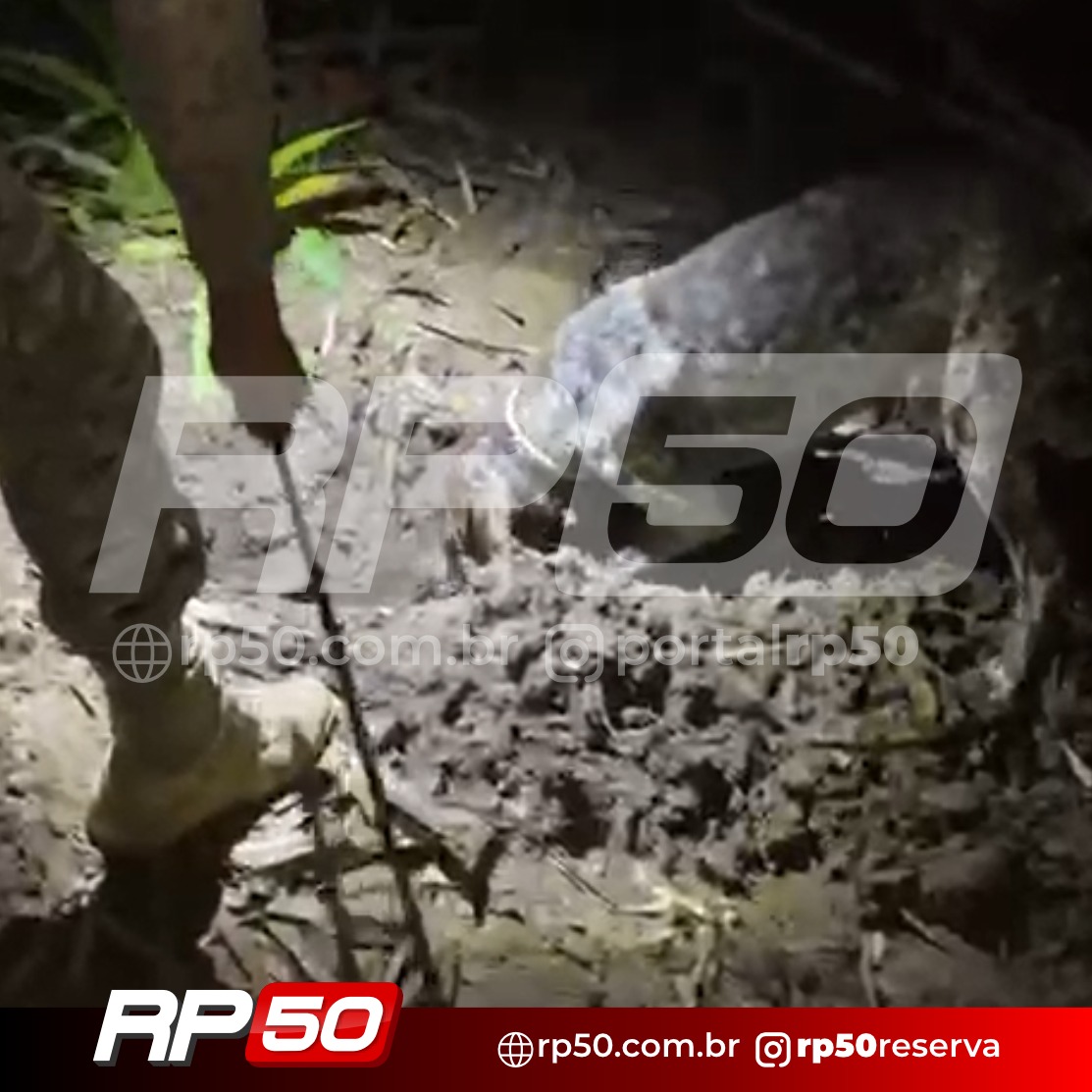 WhatsApp Image 2026-04-10 at 01.22.07