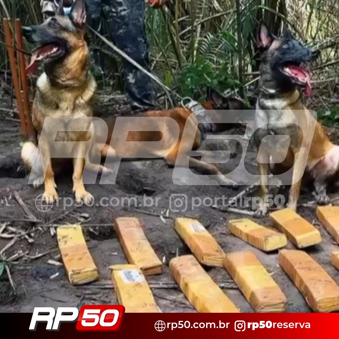 WhatsApp Image 2026-04-11 at 16.53.52 (5)