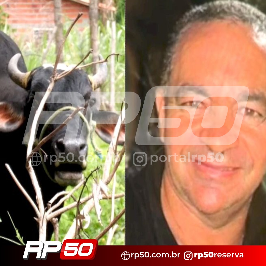 WhatsApp Image 2026-04-13 at 21.47.25