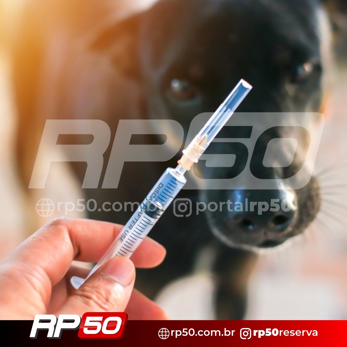 WhatsApp Image 2026-04-14 at 18.16.44 (3)