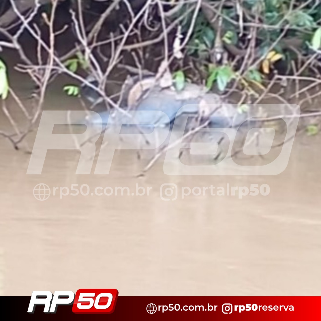 WhatsApp Image 2026-04-28 at 14.06.08 (1)