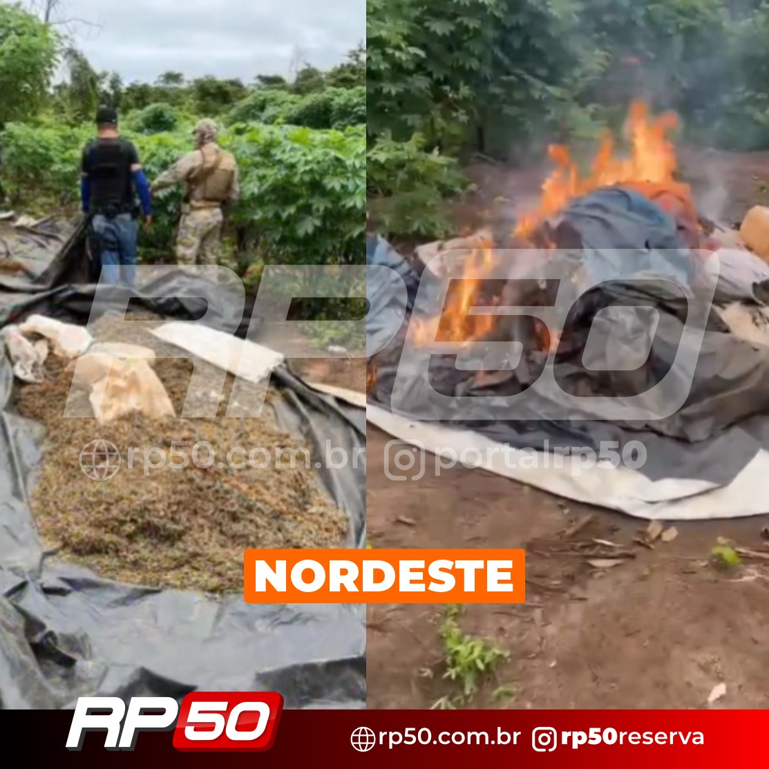 WhatsApp Image 2026-04-28 at 14.19.32